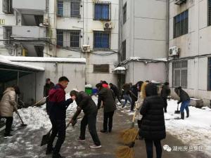 抗雪特辑 | 致大雪中可爱的房总人！